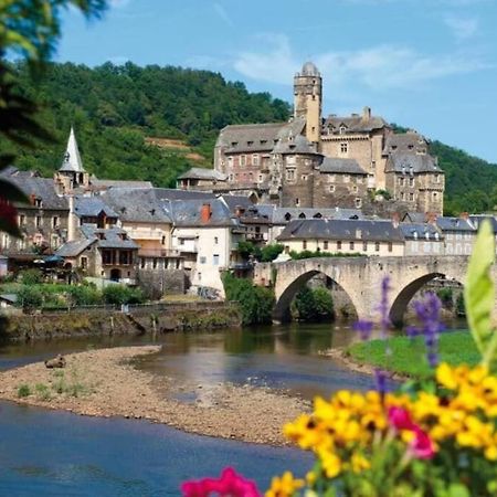 T 2 Dans Village Vacances 3 *** A Saint Geniez 2 Piscines Chauffee Pierrefiche  Exterior photo