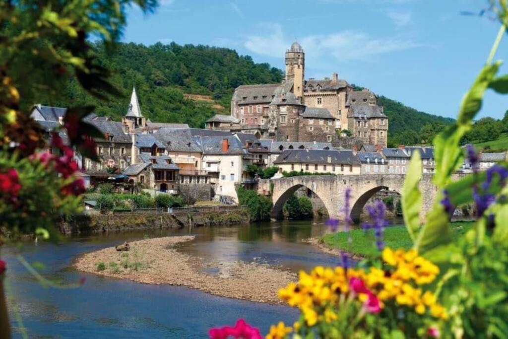 T 2 Dans Village Vacances 3 *** A Saint Geniez 2 Piscines Chauffee Pierrefiche  Exterior photo